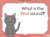 Final Sounds Teaching Resources (slide 3/18)
